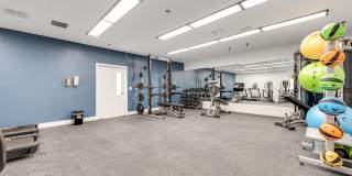 Vivo Living Charlotte Gallery 15