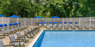 Nutmeg Woods Gallery 6