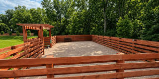 Cedar Green Gallery 12