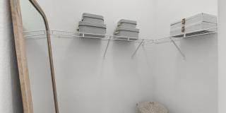 Bell Lake Forest Gallery 14