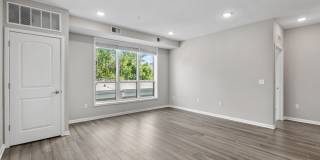 The Serene Gallery 20