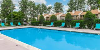 Sussex Downs Gallery 57