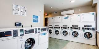 Amber Union Gallery 55