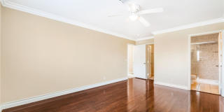 2831 Mill Point Drive Gallery 15