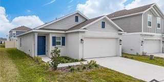 537 SEA TURTLE Lane Gallery 1