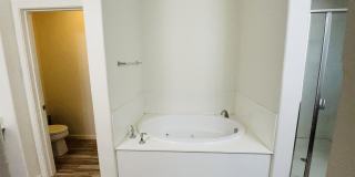 3107 Browntail Way Gallery 16