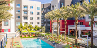 Vita Apartment Homes Gallery 17