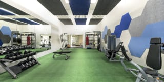 Cypress Creek Gallery 3