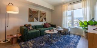 Ardence & Bloom Ardence & Bloom Gallery 7