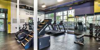 Sunset and Vine Sunset and Vine Gallery 27