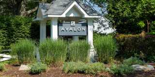 Avalon Commons Gallery 47