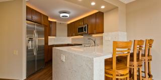 2101 nuuanu ave #I1204 - I1204 Gallery 2
