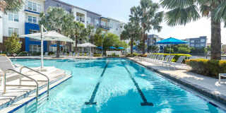 Solstice Signature Apartment Homes Gallery 4