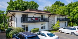 The Nelson Gallery 24