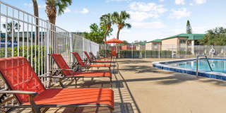 Buena Vista Gallery 91