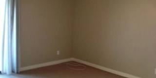 Beautiful Condo Gallery 11