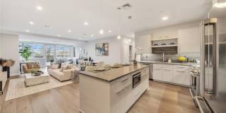 Royal Blue Gallery 1