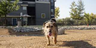 Camden Lakeway Gallery 35