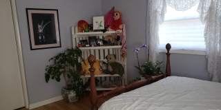 Charming 3 Bed/1.5 Bath in Desirable College Heights Location! Gallery 18