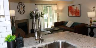The Cypress Gallery 10