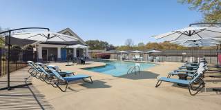 Vineyard of Flat Shoals Gallery 2