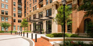 The Dalton Gallery 6