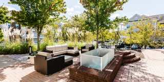 Settler’s Landing Gallery 21