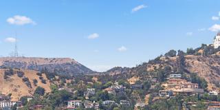 The Elinor Gallery 27