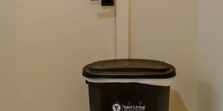 The Common Gallery 42