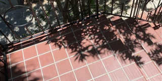 40 Almeria Ave Gallery 14