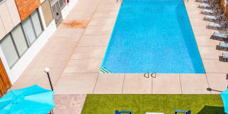 The Landmark Gallery 45