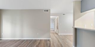 The Hazelwood Gallery 47