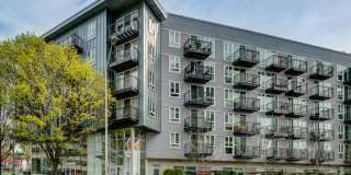 3104 Western Ave #604 3104 Western Ave #604 Gallery 1