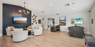 Avanterra Black Forest Gallery 48