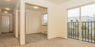 Kitts Corner Gallery 12