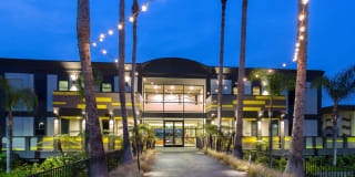 AVA Pacific Beach Gallery 36