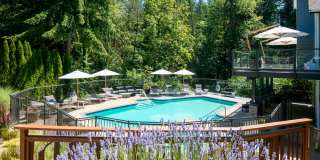 Lakemont Orchard Gallery 22