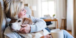 Destinations Alexander Age 55+ Apartment Homes Gallery 50