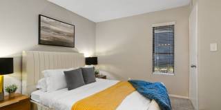 The Forest Gallery 7