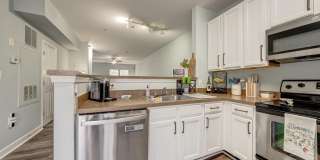 42461 ROCKROSE Square Gallery 17