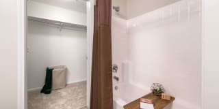 Olympus at Daybreak Gallery 7