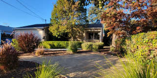 Updated Home in Palo Alto Available with Air Conditioning Gallery 1