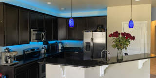 7413 Pimlico Dr Gallery 21