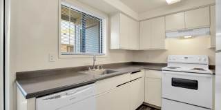 Mountain View Terrace Gallery 14