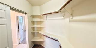 4467 E Dandelion Street Gallery 11