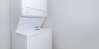 Carrington Gallery 61