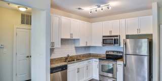 Vyne On Central Gallery 12