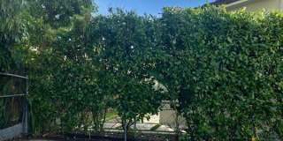 485 NW 25th Ct Gallery 19