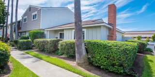 Walk to the Beach Walk to the Beach Gallery 1