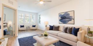 Talcott at Windermere Gallery 4